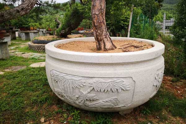 院落花壇圖片（院落花墻圖片）